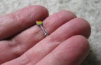  Size of product w/hand to show scale