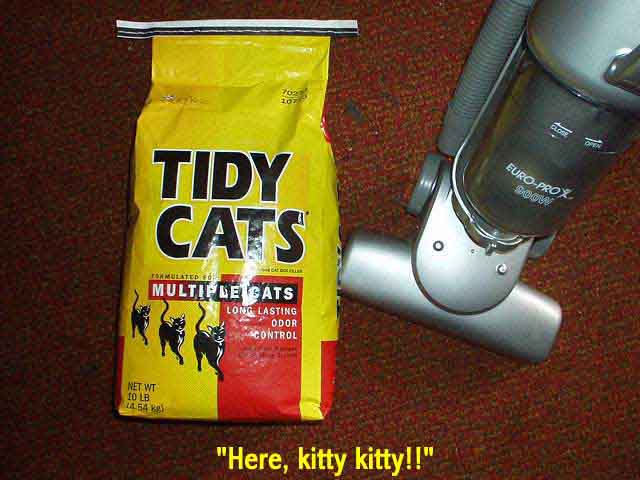 Stick Shark vs. Bad Kitty