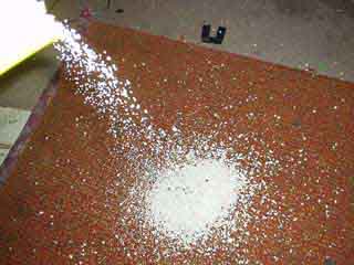 Stick Shark vs. Bad Kitty